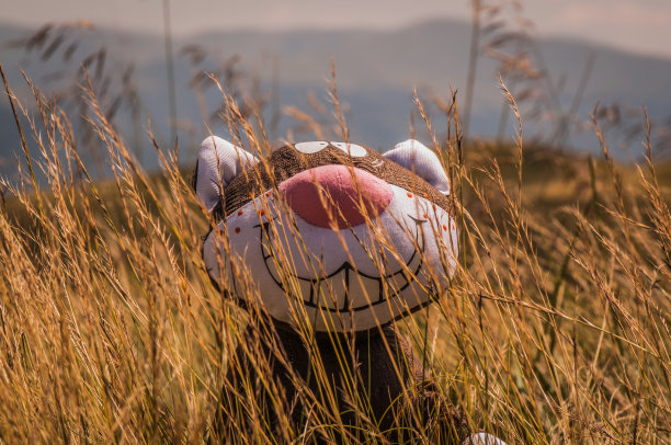 Futik旅行图片下载