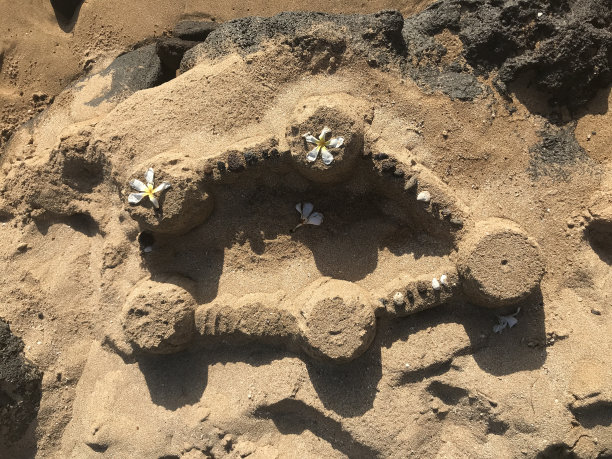 毛伊岛沙堡图片下载