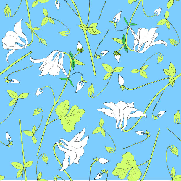 Aquilegia花或耧龙草插图孤立在蓝色背景，无缝花卉矢量图案，装饰多彩的纹理设计贺卡，婚礼请柬，化妆品，壁纸图片下载