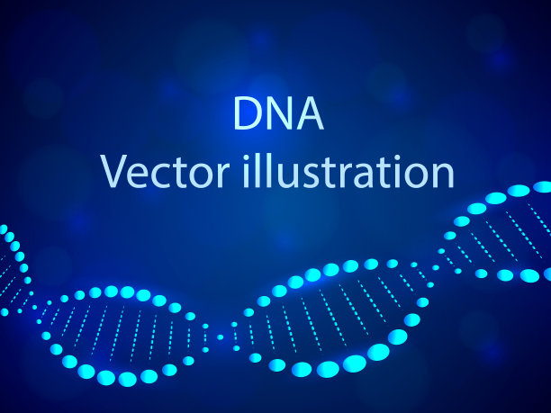 DNA的背景。矢量图素材图片