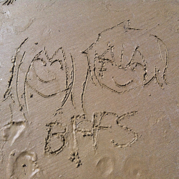 最好的朋友，沙滩上的脸图片下载