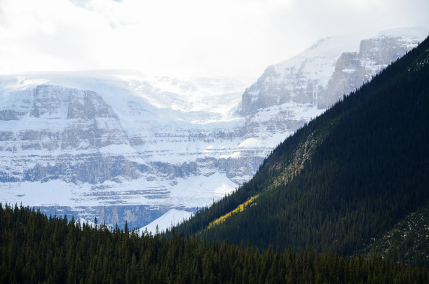 秋天的加拿大落基山脉和冰原，冰原公园路，阿尔伯塔，加拿大图片下载
