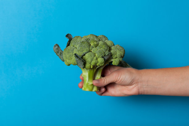 健康饮食的人，绿色花椰菜植物图片下载