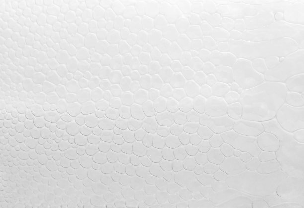 泡沫纹理图片下载