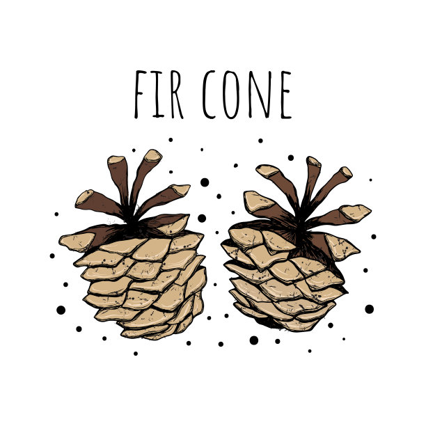 松果矢量插画圣诞背景手绘图片下载