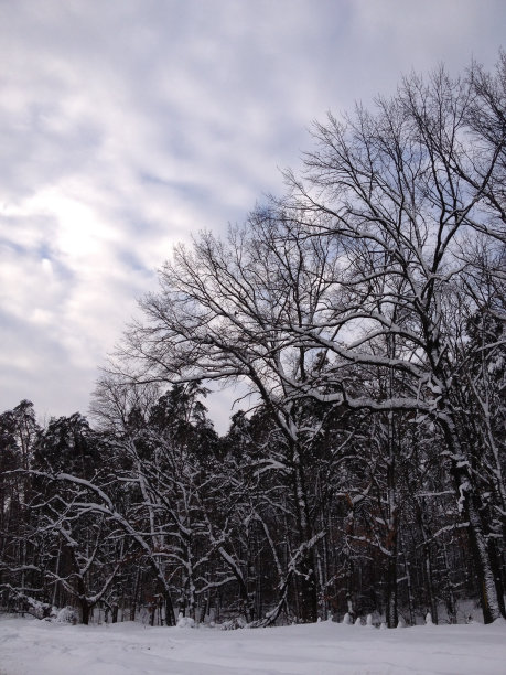 圣诞冬天的雪景图片下载