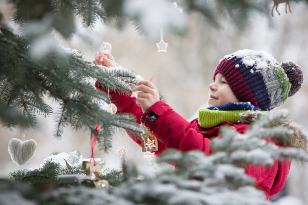 快乐微笑的小男孩在冬天的雪公园装饰圣诞树。孩子的乐趣。圣诞节的庆祝活动在户外。冬季和假期概念。图片下载