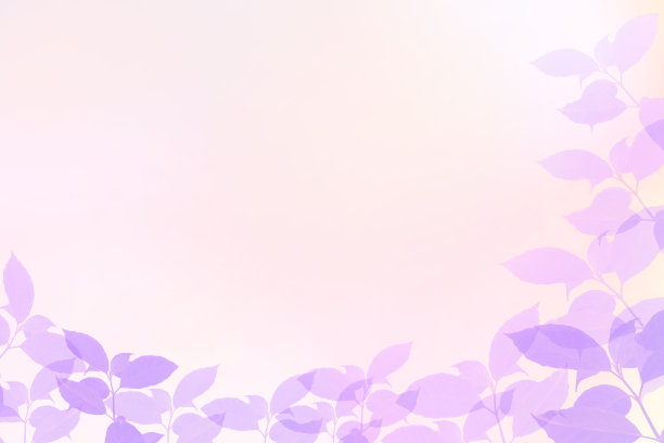 摘要以夏季大自然为背景的紫色为主题。图片下载