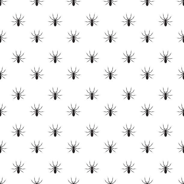 黑色细节逼真的蜘蛛昆虫图案在白色的背景图片下载