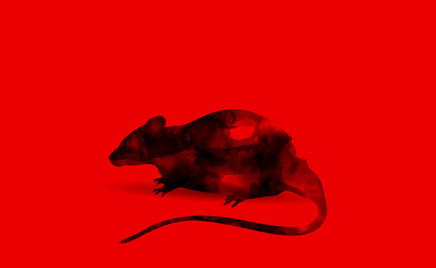 我在红色的背景上创作了黑色的老鼠形状的笔刷图片下载