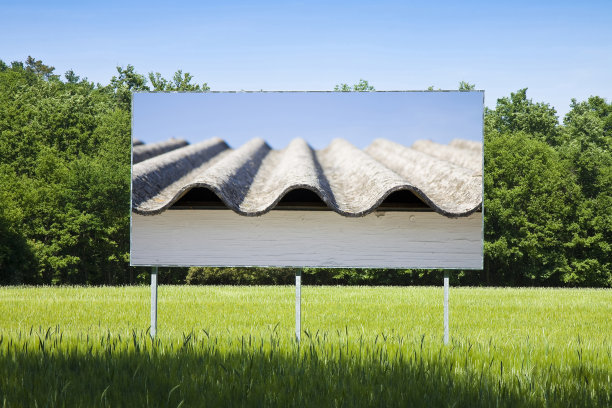 石棉屋顶上的空白广告广告牌沉浸在乡村的景象中图片下载