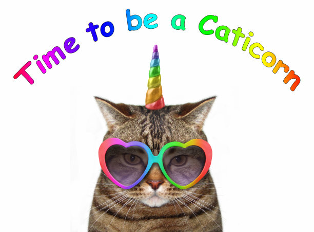 戴着眼镜的独角兽猫图片下载