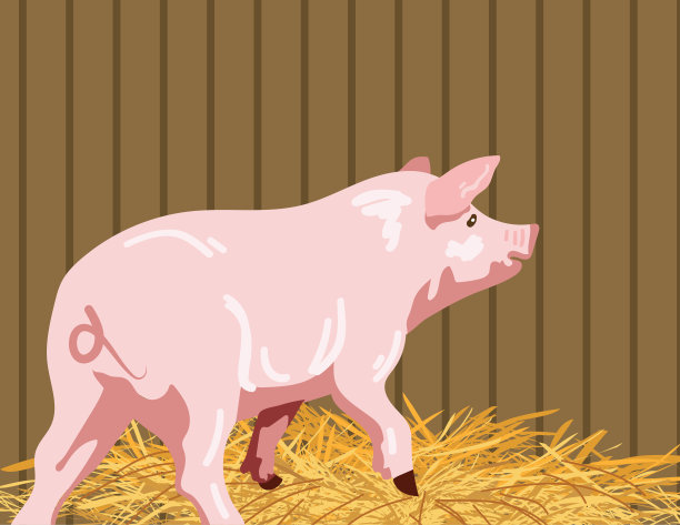 农场稻草床上的卡通猪图片下载