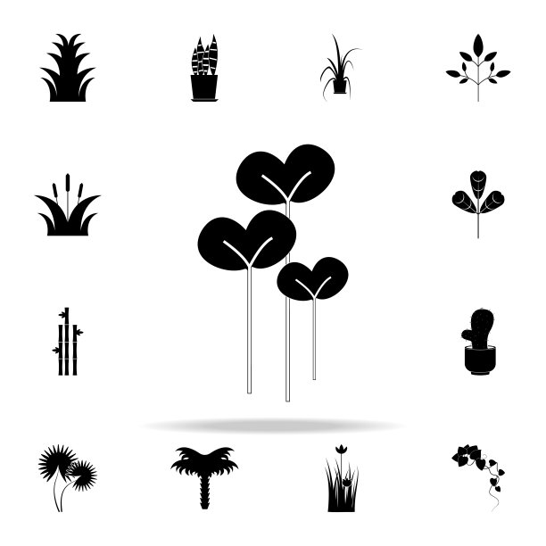 豆瓣菜沙拉图标。植物图标通用设置为网络和移动图片下载