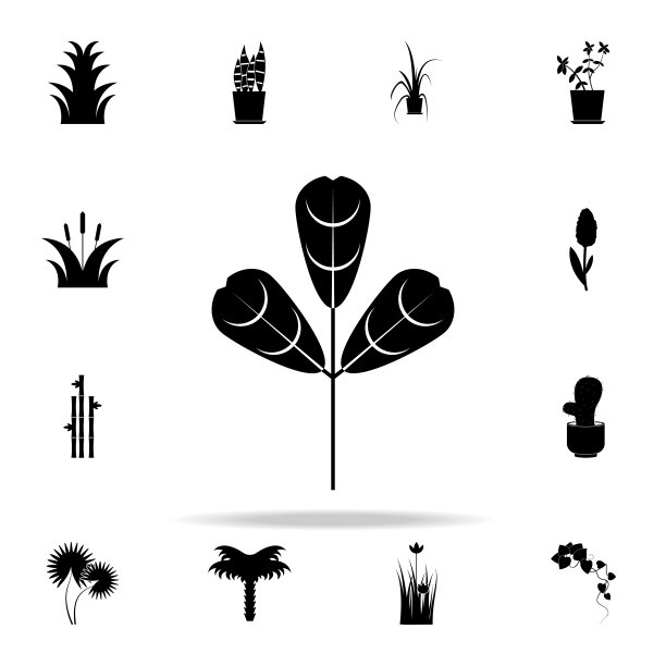 生长图标。植物图标通用设置为网络和移动图片下载