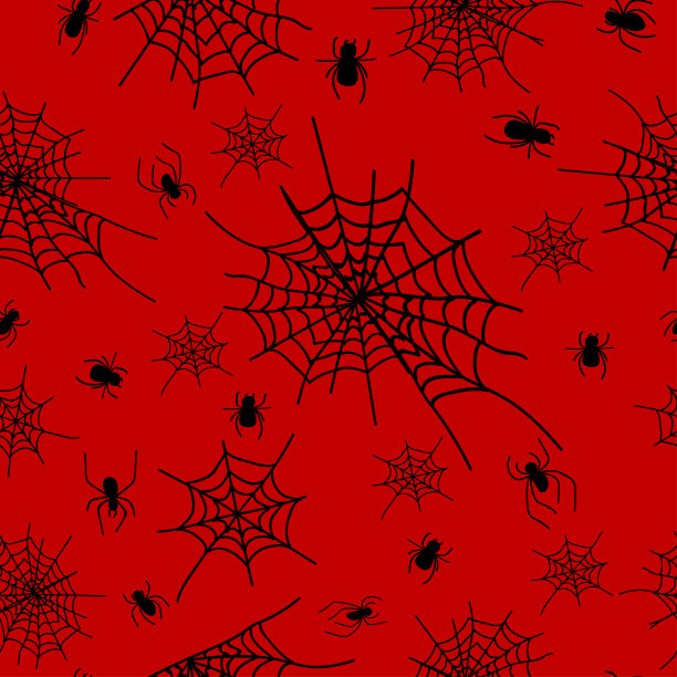 蜘蛛网上有红色的蜘蛛图片下载