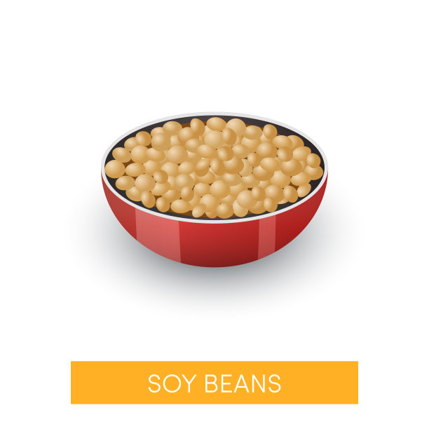大豆在碗里，矢量图片下载