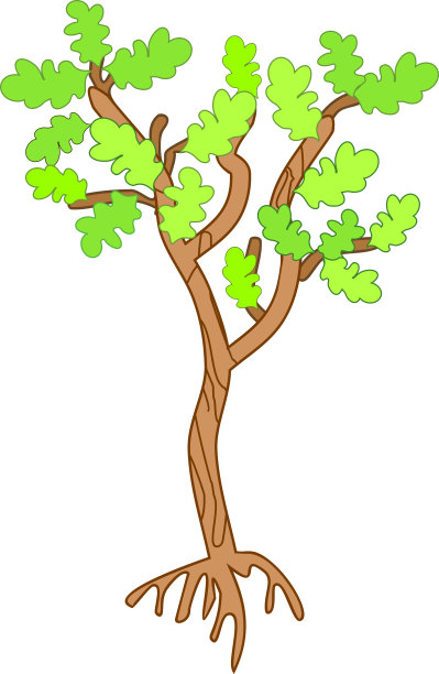 白色背景上长着绿叶的小橡树图片下载