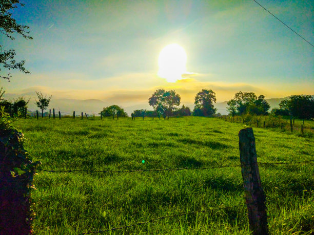 日出在乡村中部的牧场上。被栅栏围起来的绿草地图片下载