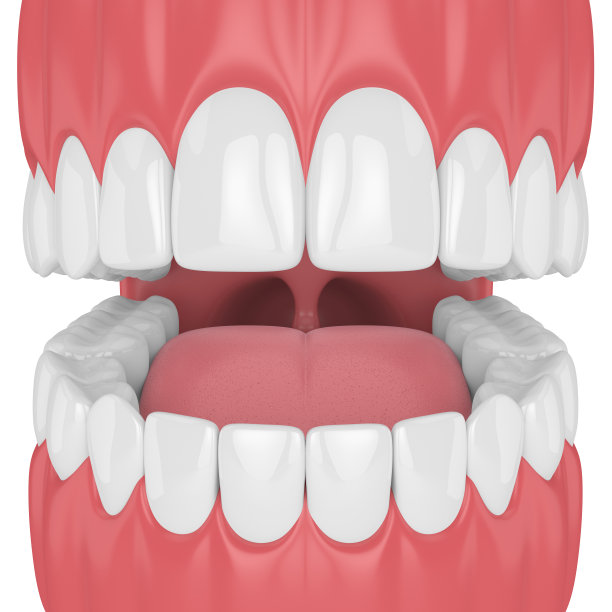 颚与牙齿的3d渲染图片下载