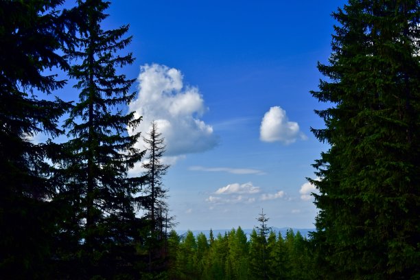 波兰的塔特拉国家公园图片下载