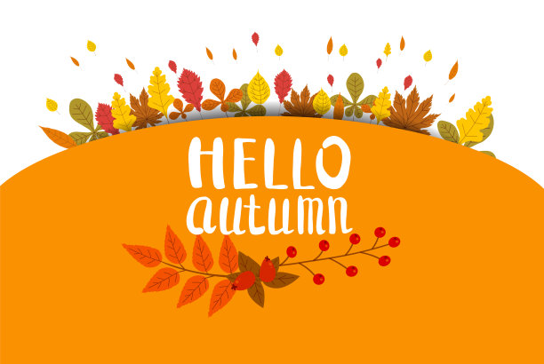 你好秋天，背景与落叶，黄色，橙色，棕色，秋天，字母，模板海报，横幅，矢量，孤立素材图片
