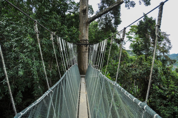 马来西亚的冠桥图片下载