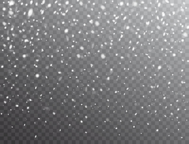 雪的背景。现实的飘落的雪花。圣诞节背景与雪透明的背景。霜冻风暴，降雪效应。矢量图图片下载