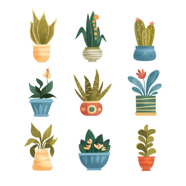 盆栽盆栽，优雅的家庭或办公室装饰矢量插图在白色的背景图片下载