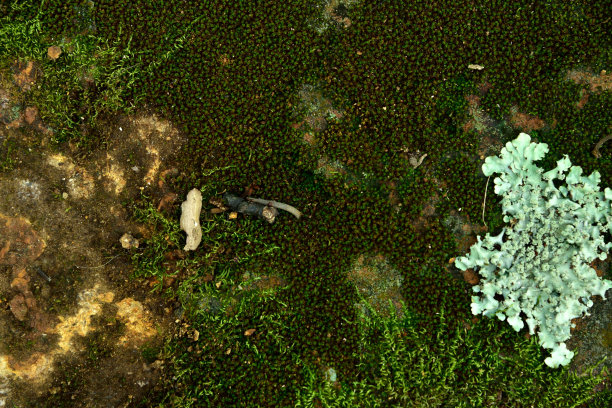 纹理和背景图片下载