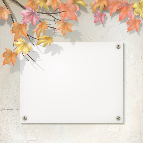 秋天的背景是枫叶图片下载