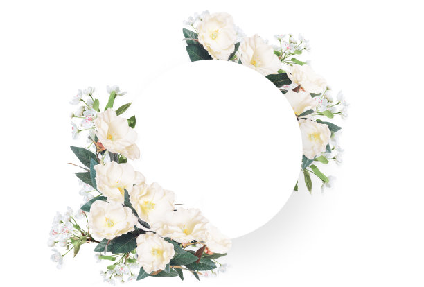 抽象设计的花框架孤立在白色的背景图片下载