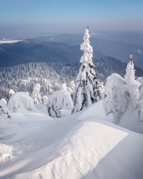 神奇的冬景图片下载