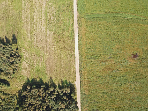 森林旁边的田野里，一条土路上开着一辆白色汽车——秋天的俯视图图片下载