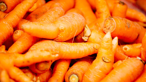 胡萝卜图片下载