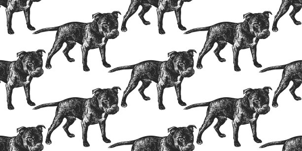 无缝图案与可爱的小狗斯塔福德郡斗牛梗。图片下载