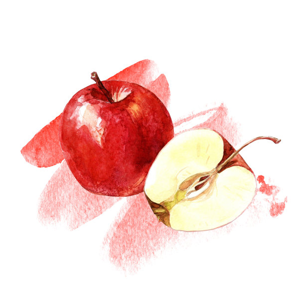 红苹果和苹果剪，水彩插图。图片下载