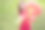 一个孤独的女人穿着红色衣服，在公园里捧着气球图片下载