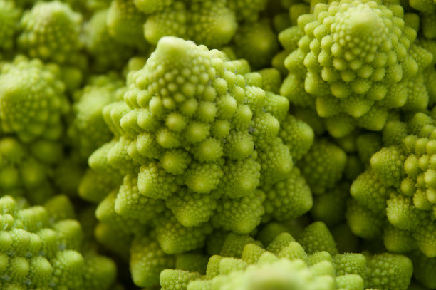 罗马花椰菜质地图片下载