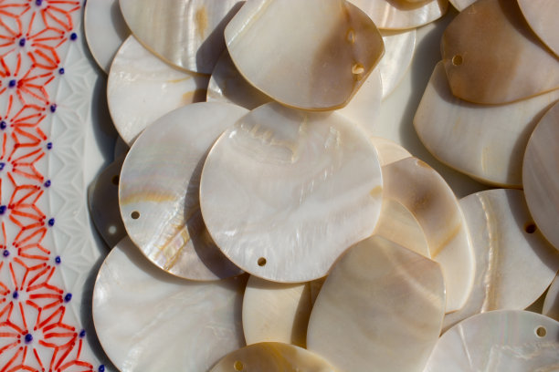 珍珠贝壳背景纹理图片下载