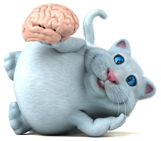 有趣的猫- 3D插图图片下载