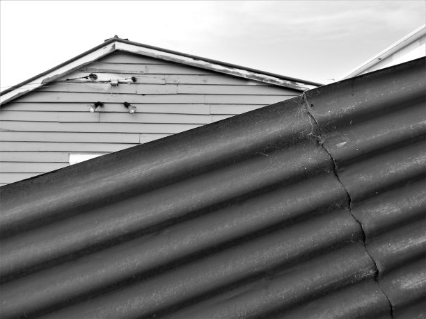 新西兰达尼丁图片下载