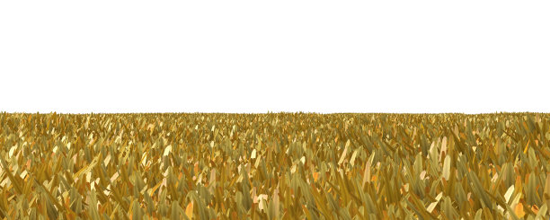 秋天的草孤立在白色的背景3D插图图片下载