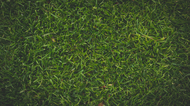 自然的照片图片下载