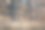 模糊的金色花环和木制桌面前景。图片展示或蒙太奇您的圣诞产品。图片下载