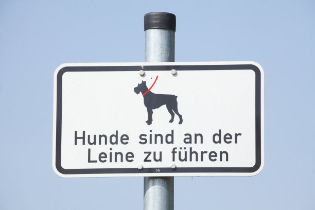 请牵着猎犬图片下载