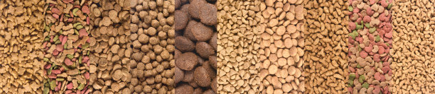 动物的食物图片下载