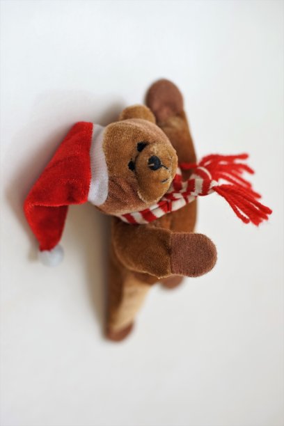 玩具快乐熊挂在冰箱上图片下载