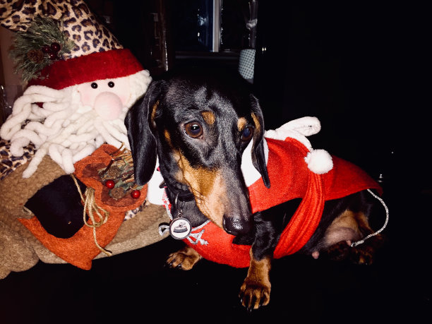 圣诞节图片下载