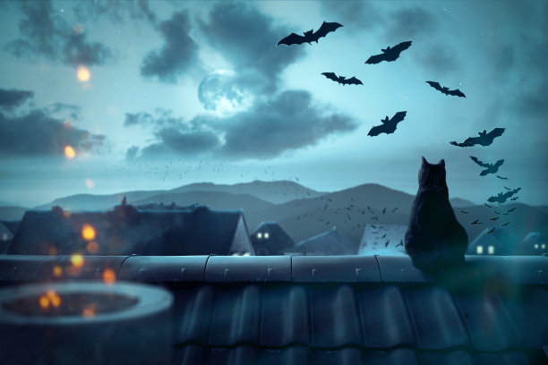 屋顶上阴森森的气氛图片下载